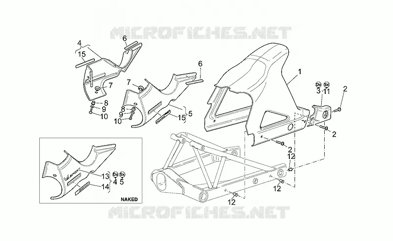 Rear body