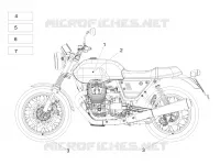 Decal