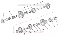 Driven shaft