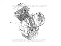 ENGINE - GEAR LEVER - SPROCKET