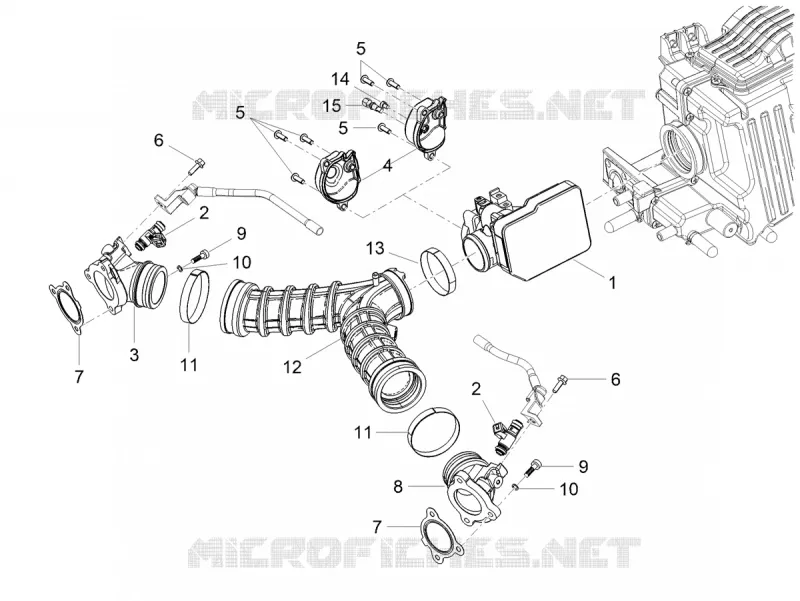 THROTTLE BODY