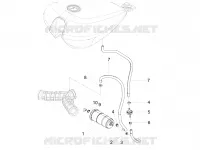 FUEL EVAP SYSTEM