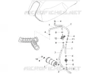FUEL EVAP SYSTEM