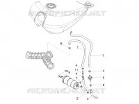 FUEL EVAP SYSTEM
