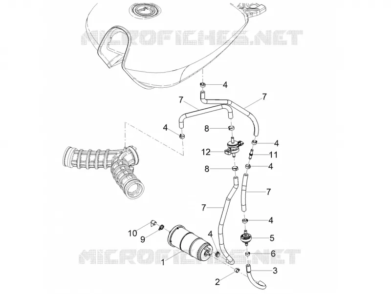 FUEL EVAP SYSTEM